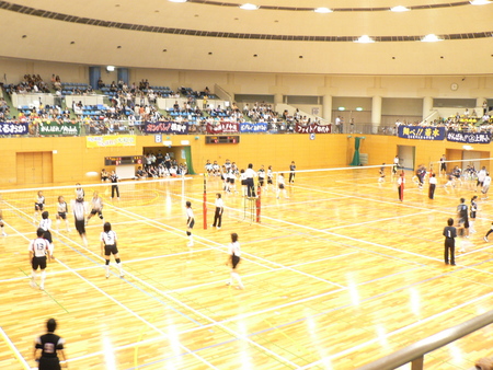 volleyboll
