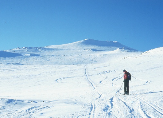 Carl-Fredrik
