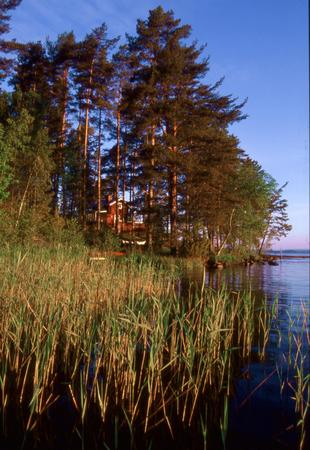 stugan
