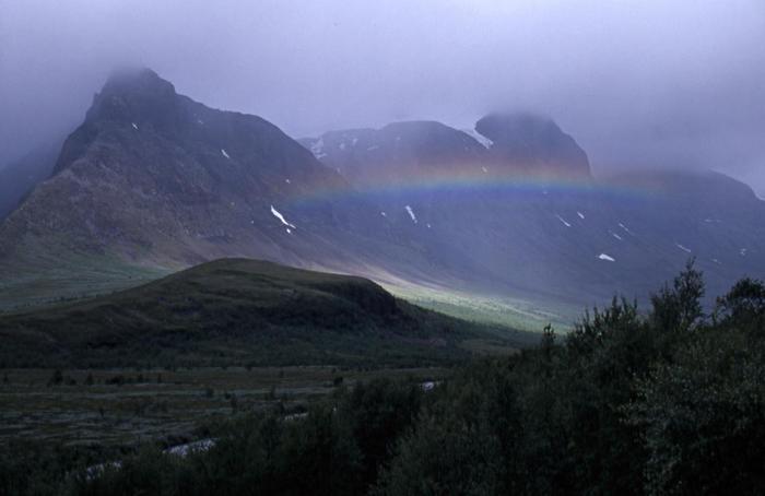 regnbåge
