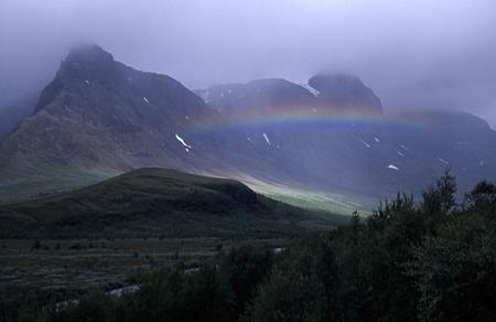 regnbåge
