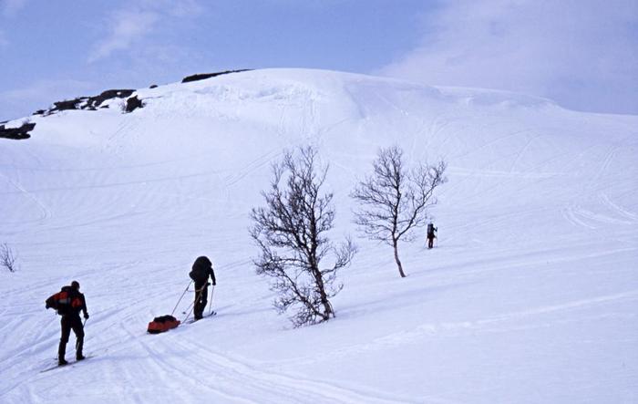 gränsen
