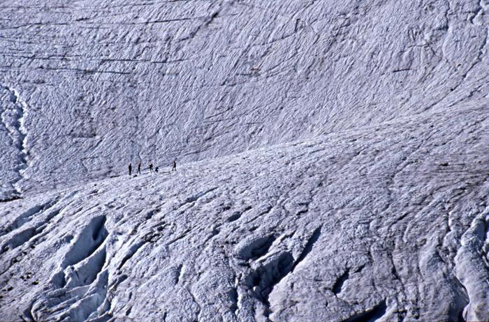 Glaciärklättrare
