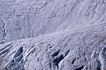 Glaciärklättrare
