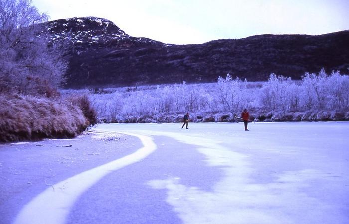 Vistasjokk
