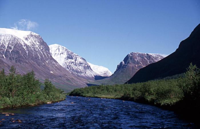 Vistasjokk
