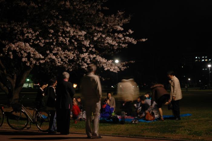 nattpicnic
