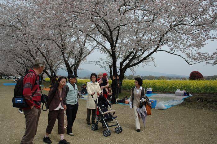picnic

