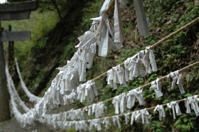kuji
