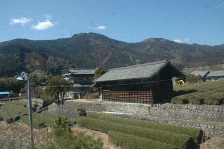 teodlingar