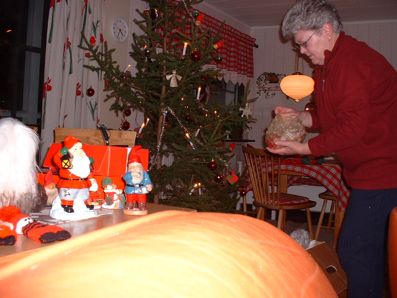 Mam och Tomtar