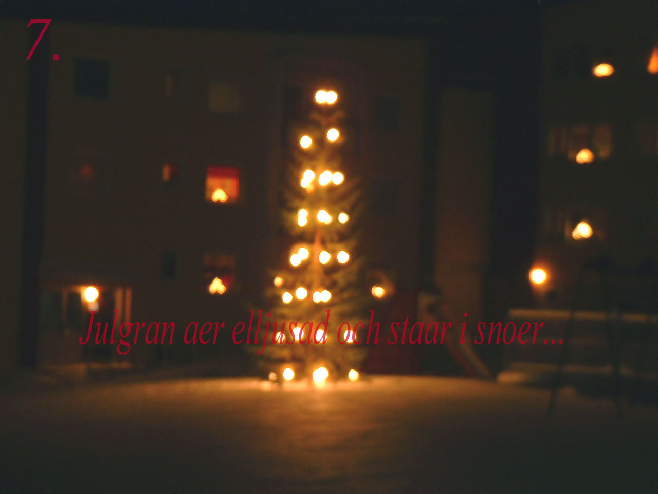 Julgran 2