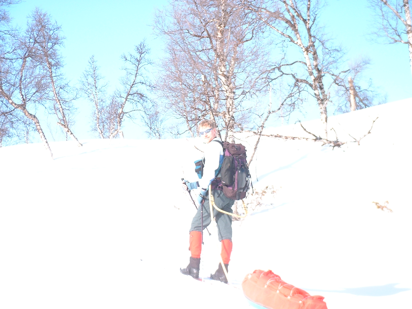 skogen