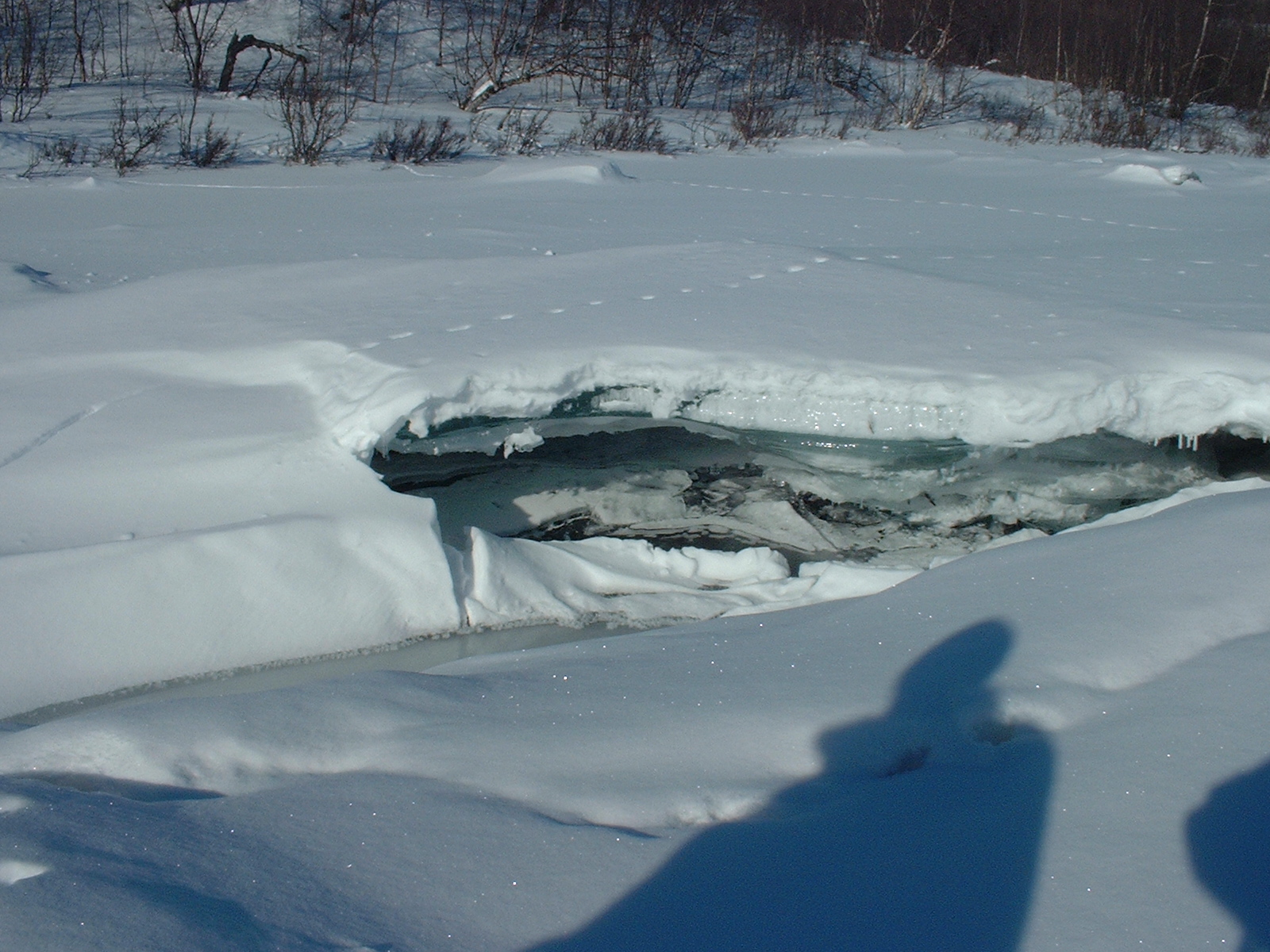 layer of water