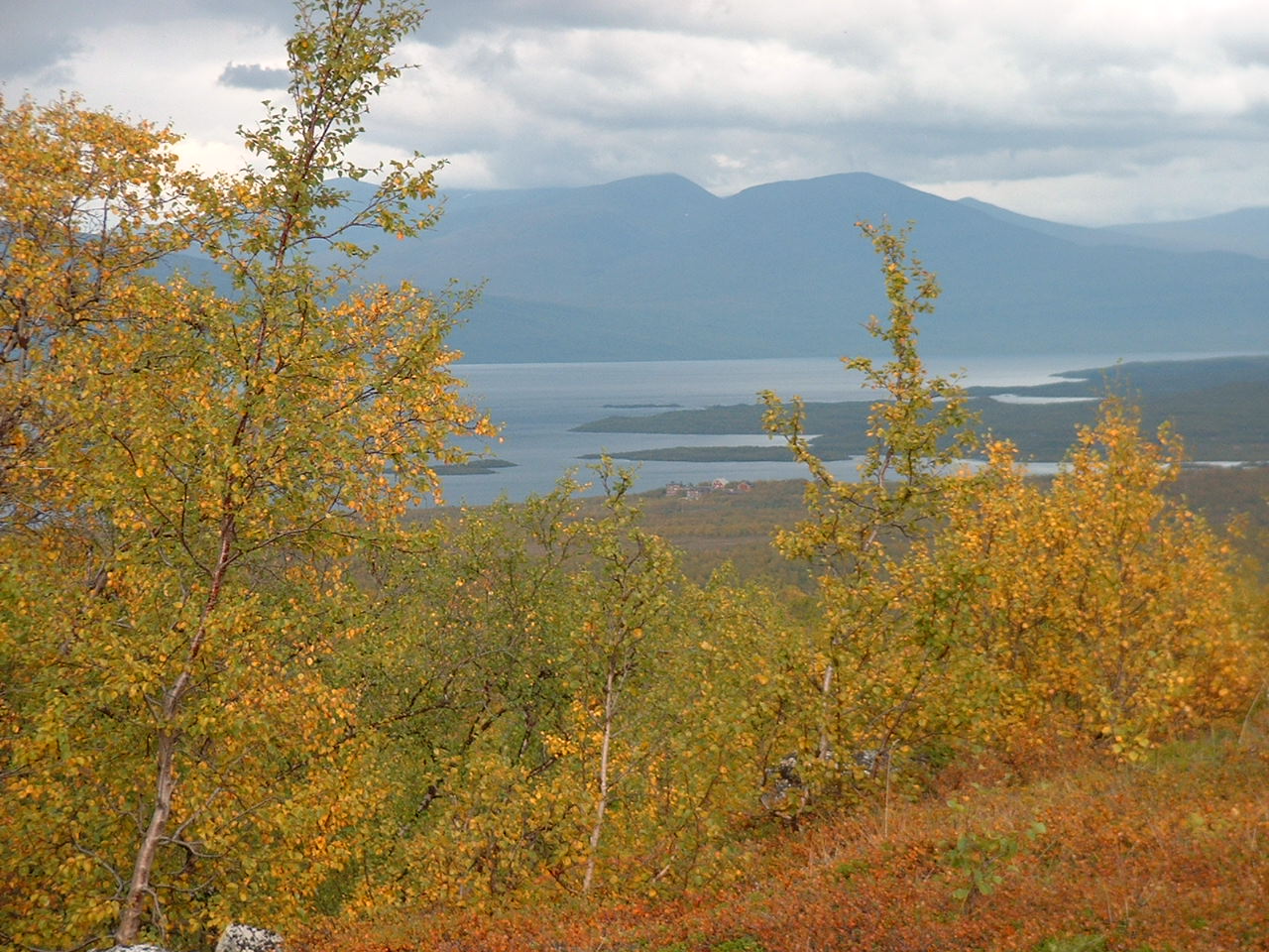 Abisko
