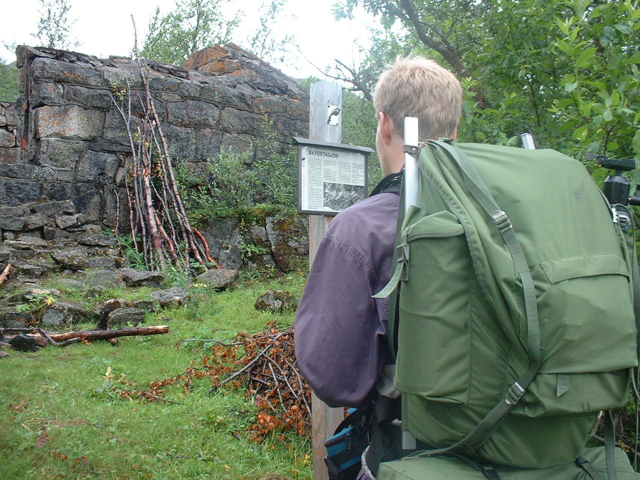 bf-3